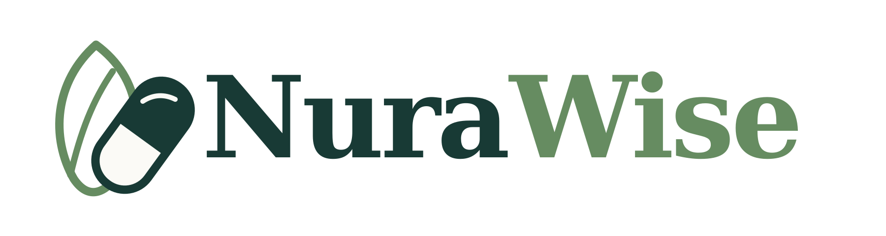 nurawise official logo v2
